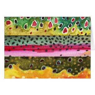 3 Prachtige forelhuiden