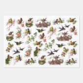 3 Pretty Birds Collage Ephemera Vellen (Voorkant)