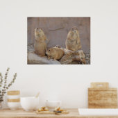 3 Rascal Poster (Keuken)