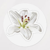 3 RIJ WITTE STICKERS (Design 2)