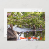 3 rocks_green briefkaart (Voorkant / Achterkant)