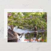 3 rotsen_groen briefkaart (Voorkant / Achterkant)