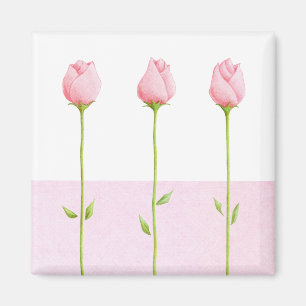 3 Roze rosebuds Magnet Magneet