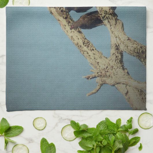 3 serviette de cuisine Crows (Plié)