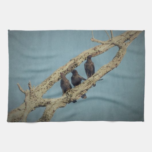 3 serviette de cuisine Crows (Horizontal)