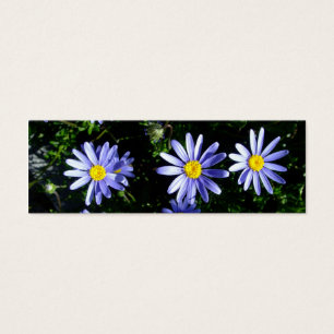 3 soleils bleus