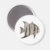3 Spadefish Logo Magneet (Voorkant / Achterkant)