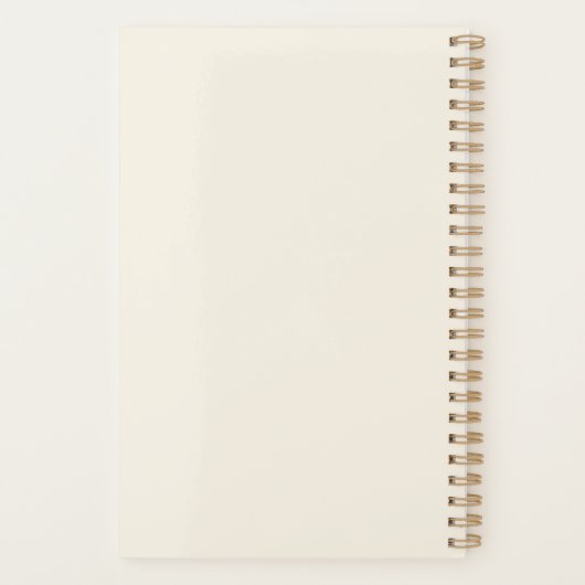 3 Sphère Brossé Gold & Cream Professional Planner (Dos)