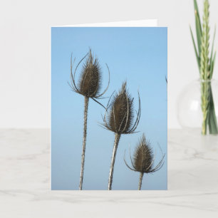 3 Teazles Kaart