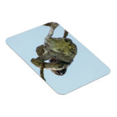 3-toed luiaard kleine magneet (Rechterzijde)