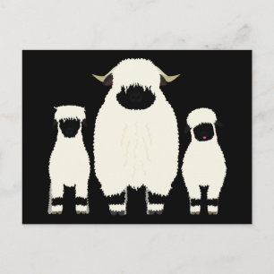 3 Valais Blerkse schapen op rij Briefkaart
