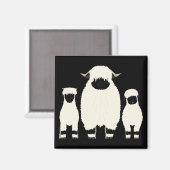 3 Valais Sheep op rij Magneet (Voorkant / Achterkant)