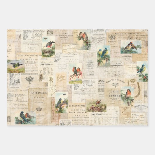 3 vogelkuil Ephemera Sheets Inpakpapier Vel (Voorkant 3)