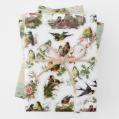 3 vogelkuil Ephemera Sheets Inpakpapier Vel (In situ)