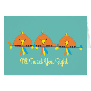 3 vogels die ik je goed zal vertellen