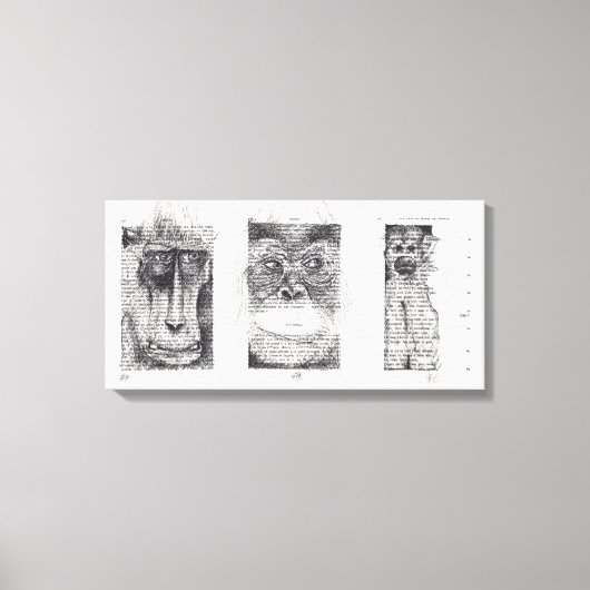 3 Wise-apen voor apenjaar 2016 Canvas Afdruk (Voorkant)