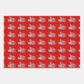 3 WP Chinese papieren rattenvruchten Kies Kleur Inpakpapier Vel (Voorkant 3)