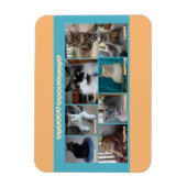 3 x 4 flexibele magneet (Verticaal)