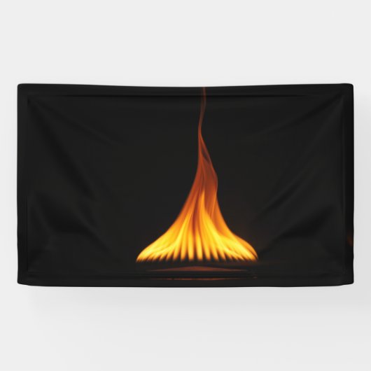 3' x 5' Banner (Horizontaal)