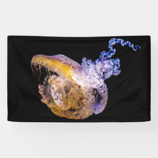 3' x 5' banner (Horizontaal)