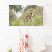 3' x 5' banner (Insitu)