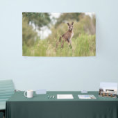 3' x 5' banner (Beurs)
