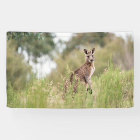 3' x 5' banner (Horizontaal)
