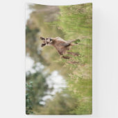 3' x 5' banner (Verticaal)