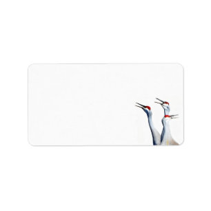 3 Zandkraanvogels Foto Briefpapier Adreslabels Etiket