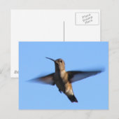 3aJ Hummingbird Flying in a Blue Sky Briefkaart (Voorkant / Achterkant)