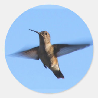 3aJ Hummingbird Vliegen in een blauwe lucht Ronde Sticker