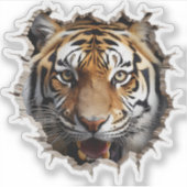 3D Jaguar Wall Break Art – Realistic Safari Sticker (Voorkant)