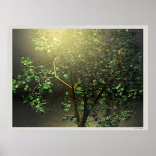 3D Japanse Esdoorn Poster
