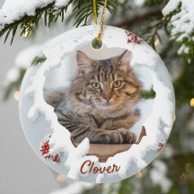 3D Kat Kerst Persoonlijke Foto Huisdierliefhebber 