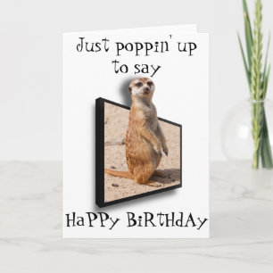 3D Meerkat Gewoon opduiken om te zeggen.. Elke g Kaart