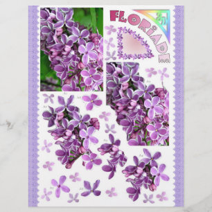 3D-ontkoppeling - Floriade - Lila tuinbloemen