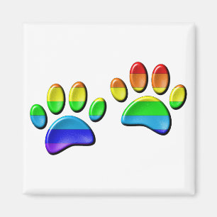 3D-regenboogdog Magneet