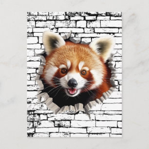 3D Rode Panda Muurbreuk Kunst – Realistische Safar Briefkaart