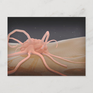 3D Uitgeven van macrofaagfagocytose Briefkaart