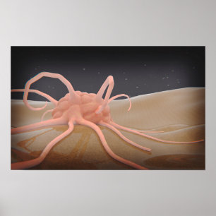 3D Uitgeven van macrofaagfagocytose Poster