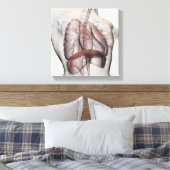 3D Uitzicht van het ademhalingssysteem voor mannen Canvas Afdruk (Insitu (Slaapkamer))