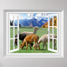 3D-venster Schuif Uitzicht Alpaca Llama Wall Art