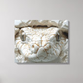 3D White King Cobra Serpent Portrait Toile Mur Art (Recto)