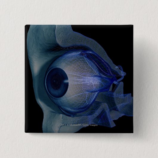 3d wireframe van de oogspieren in een socket vierkante button 5,1 cm (Voorkant)