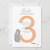 3e anniversaire personnalisé Invitation lapin mode (Devant)