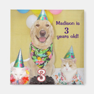 3ème Aimant d'anniversaire