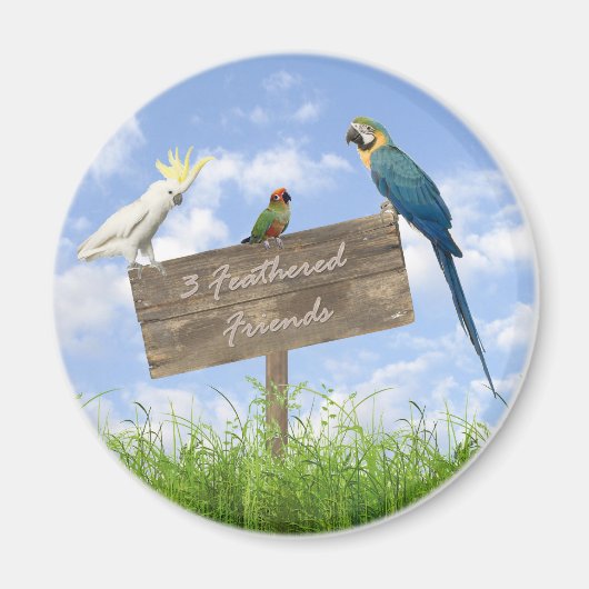 3FF magneet (Voorkant)