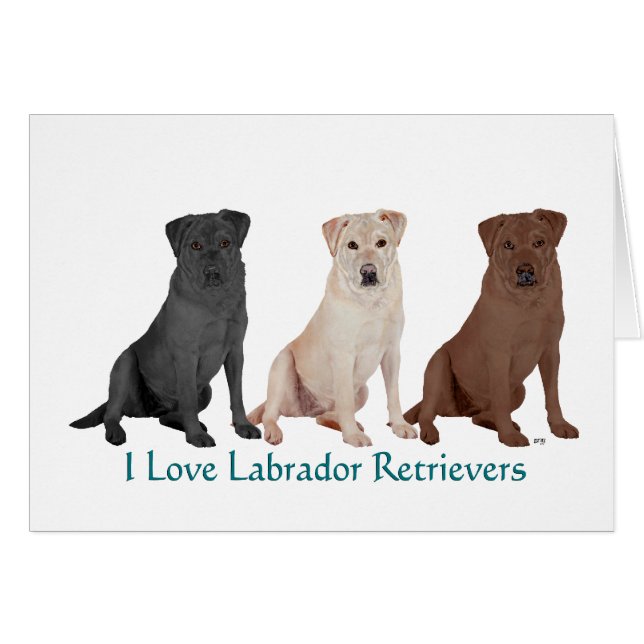 3Labs (Voorkant Horizontaal)