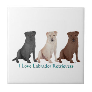 3Labs Tegeltje