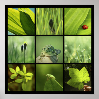 3x3 groene foto's natuur afdrukken poster